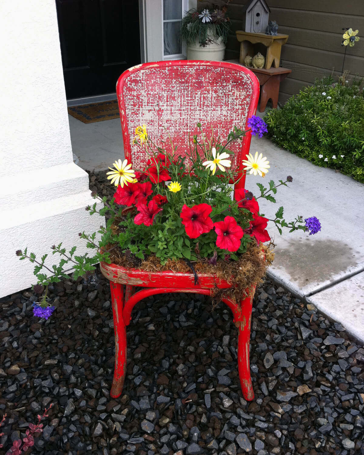 Upcycled Chair Planter with Overgrowing Flowers