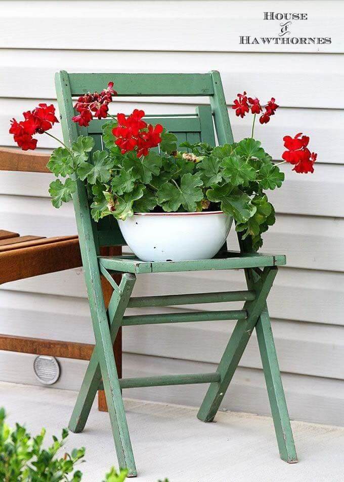 Simple Bol de Géraniums sur une Vieille Chaise