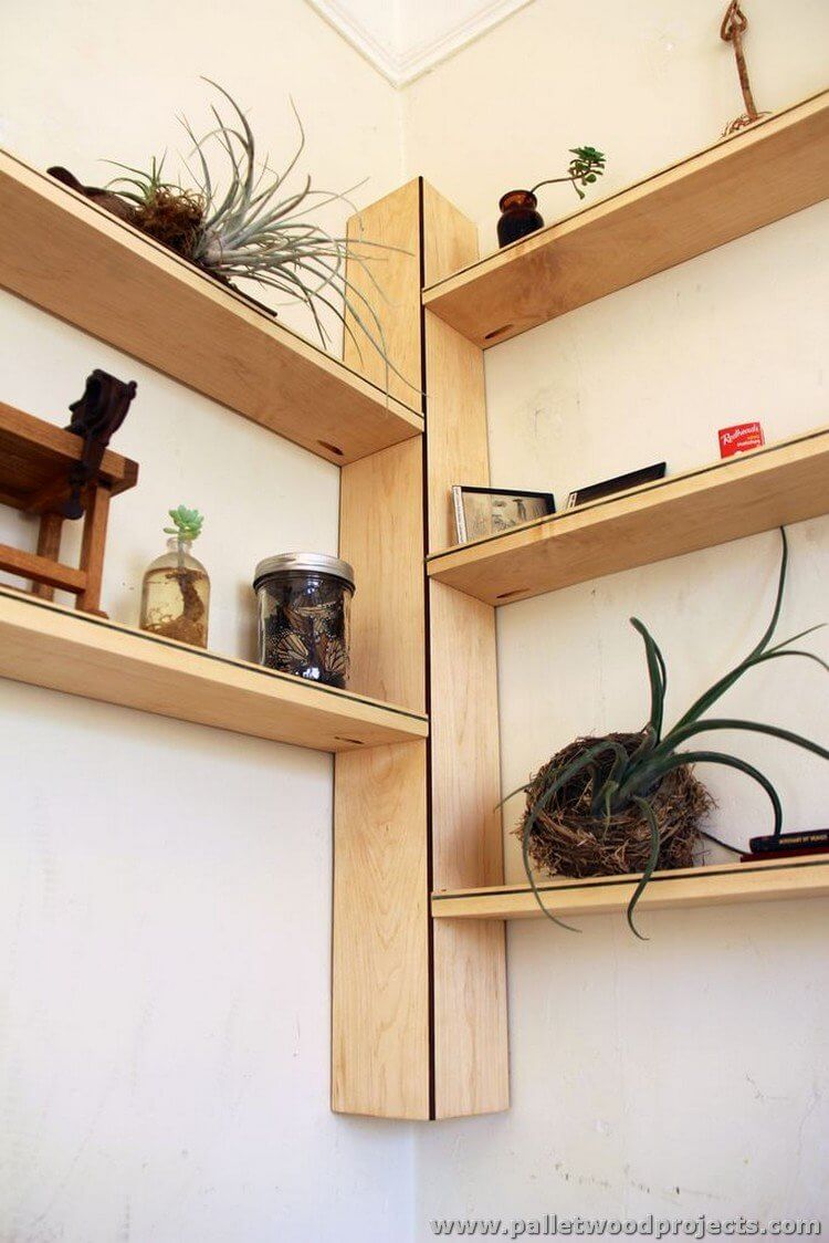 Cool New Wall Shelves for Plants