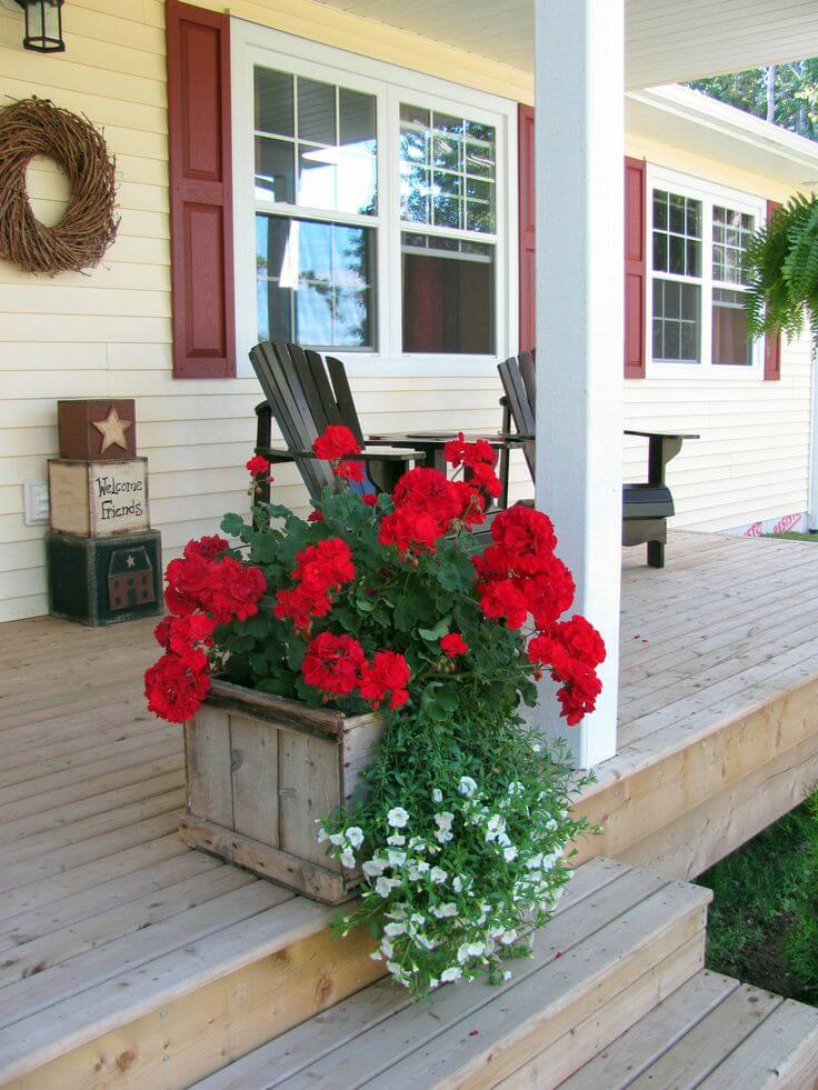 Geraniums in an Reclaimed Wooden Box