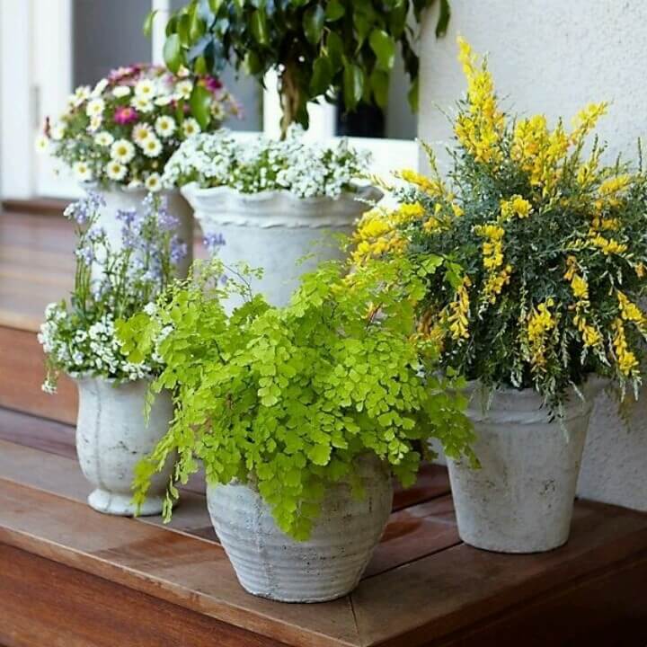 Hübsche überbackene Pflanzgefäße mit verschiedenen Blumen