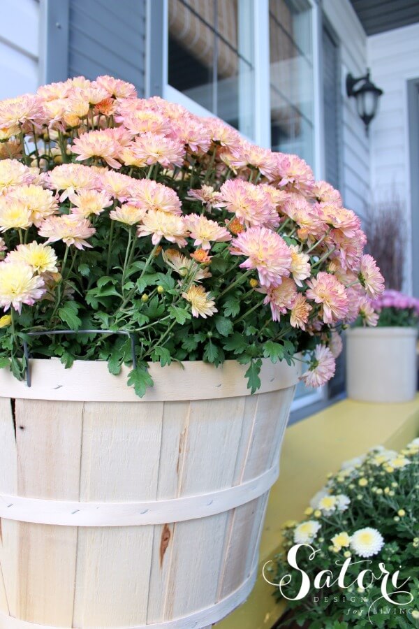 Whitewashed Barrel Planter with Pretty Blossoms