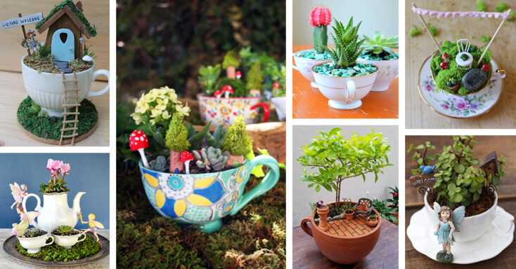 Featured image for 50+ Delightful Teacup Mini Garden Ideas to Add Bliss to Your Home