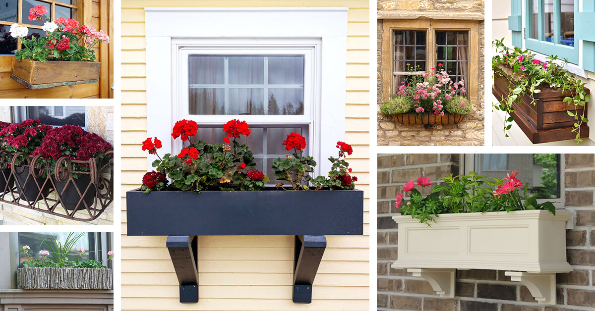 26 Best Window Planter and Designs