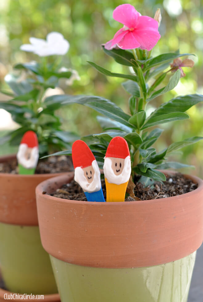 The Gnomes Peek from the Flower Pots
