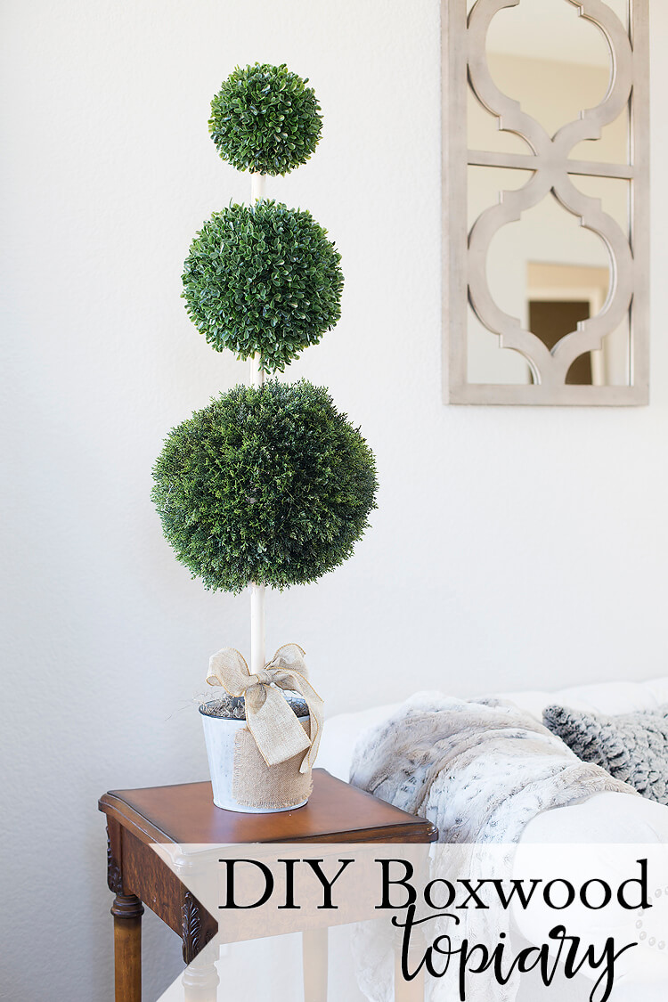 Make Your Own Boxwood Topiary