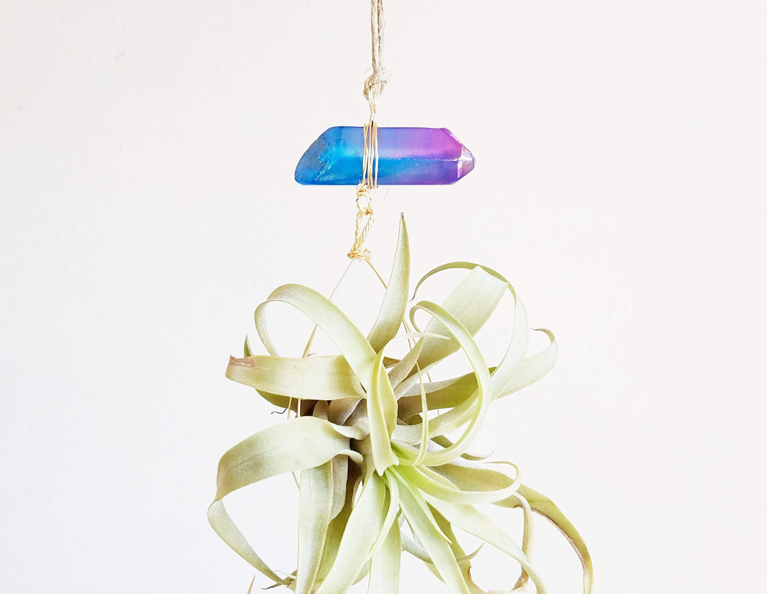 Blue Stone Hovering Above Green Leaves