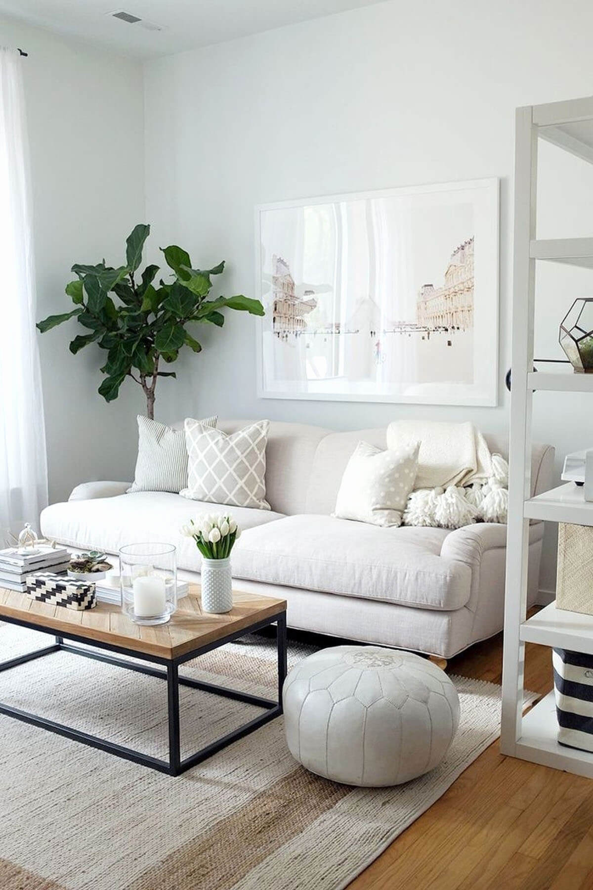 Serene Small Living Room Decor Idea