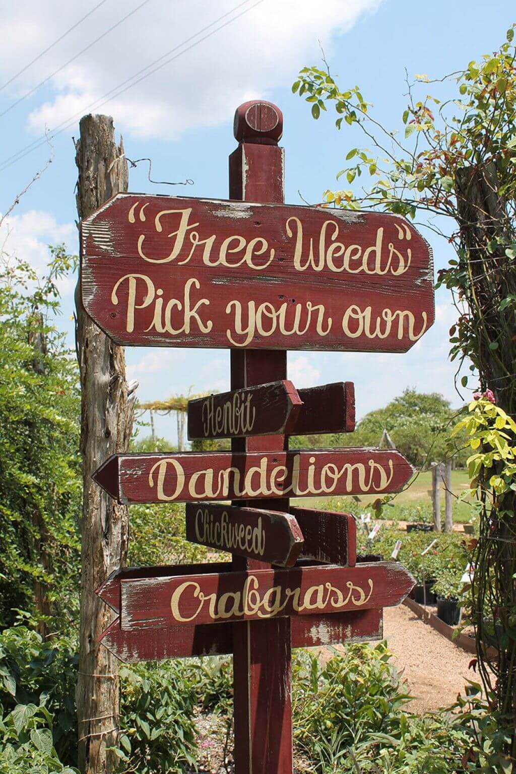 Where in the World are the Weeds?