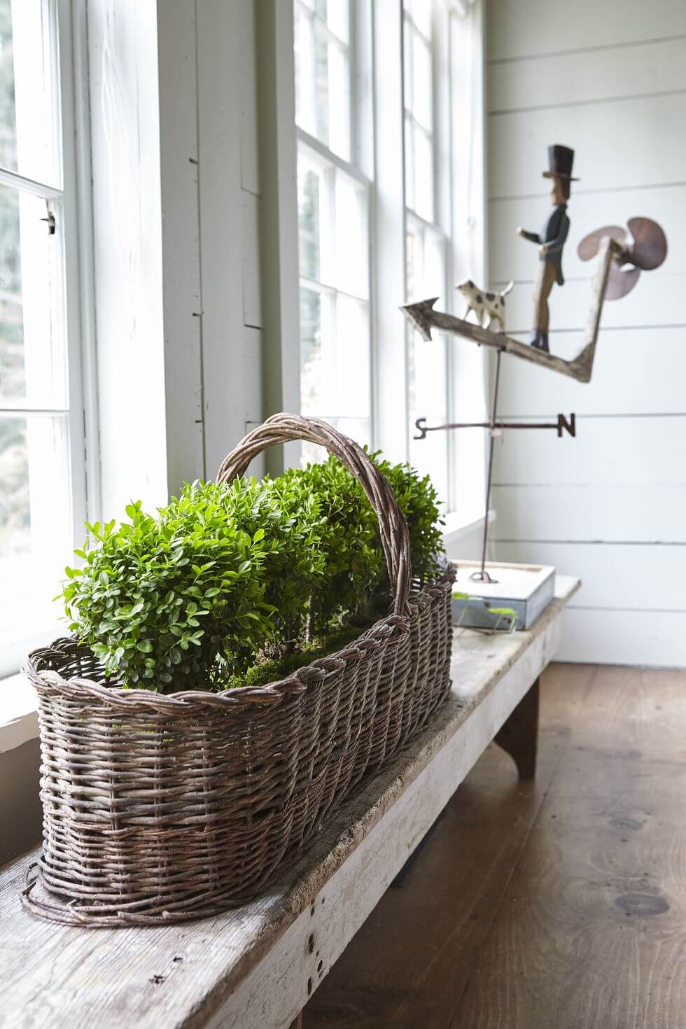 Oversized Basket of Greens on a Bench