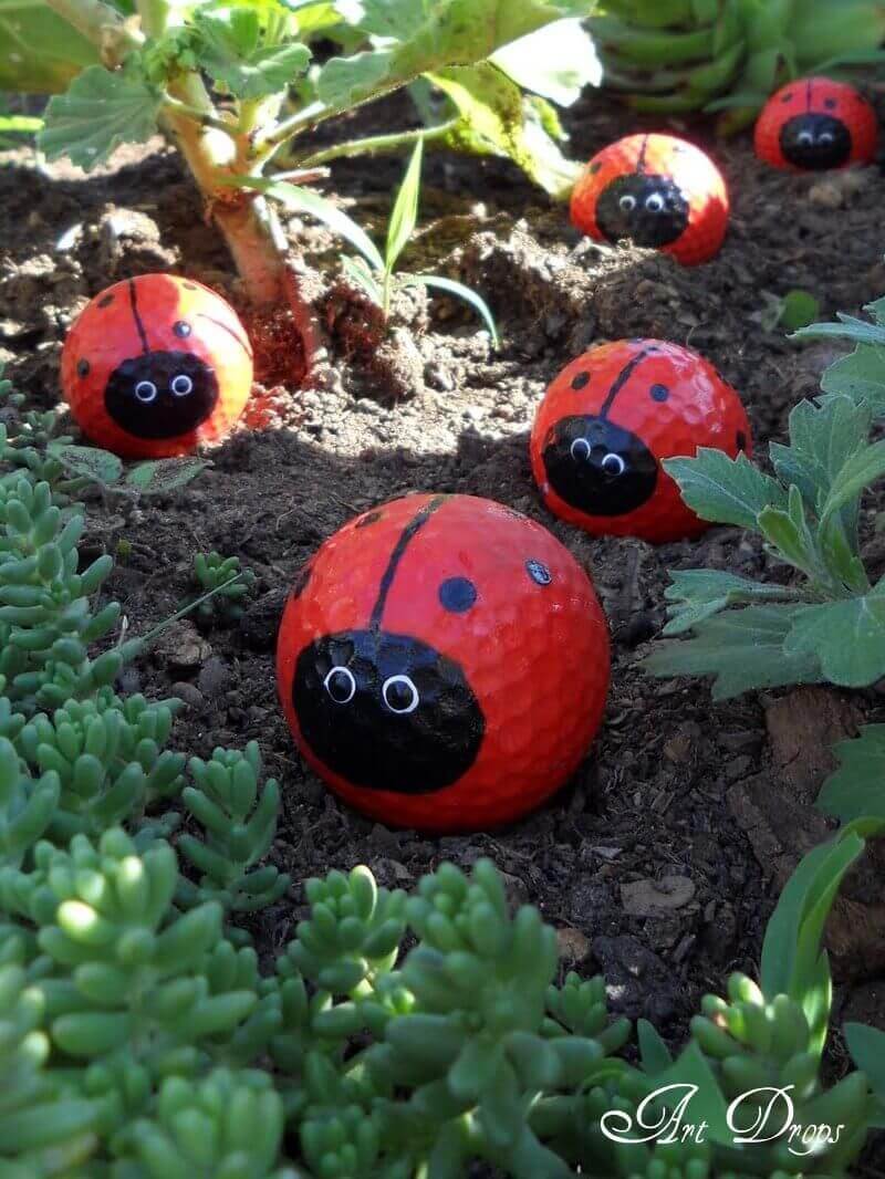 Ladybug Golf Balls Snug in the Garden