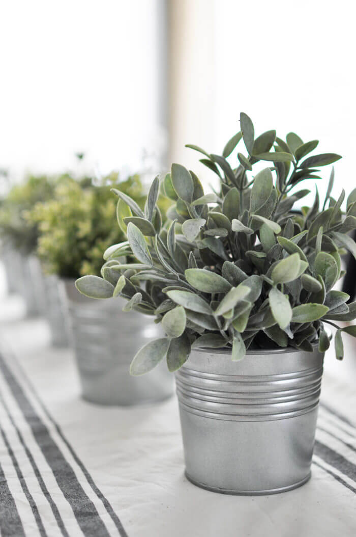 Galvanized Buckets with Sage and Herbs