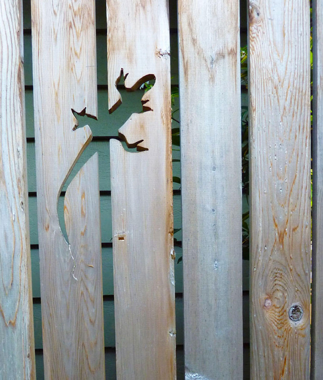 Adorable Lizard Cut into the Fence