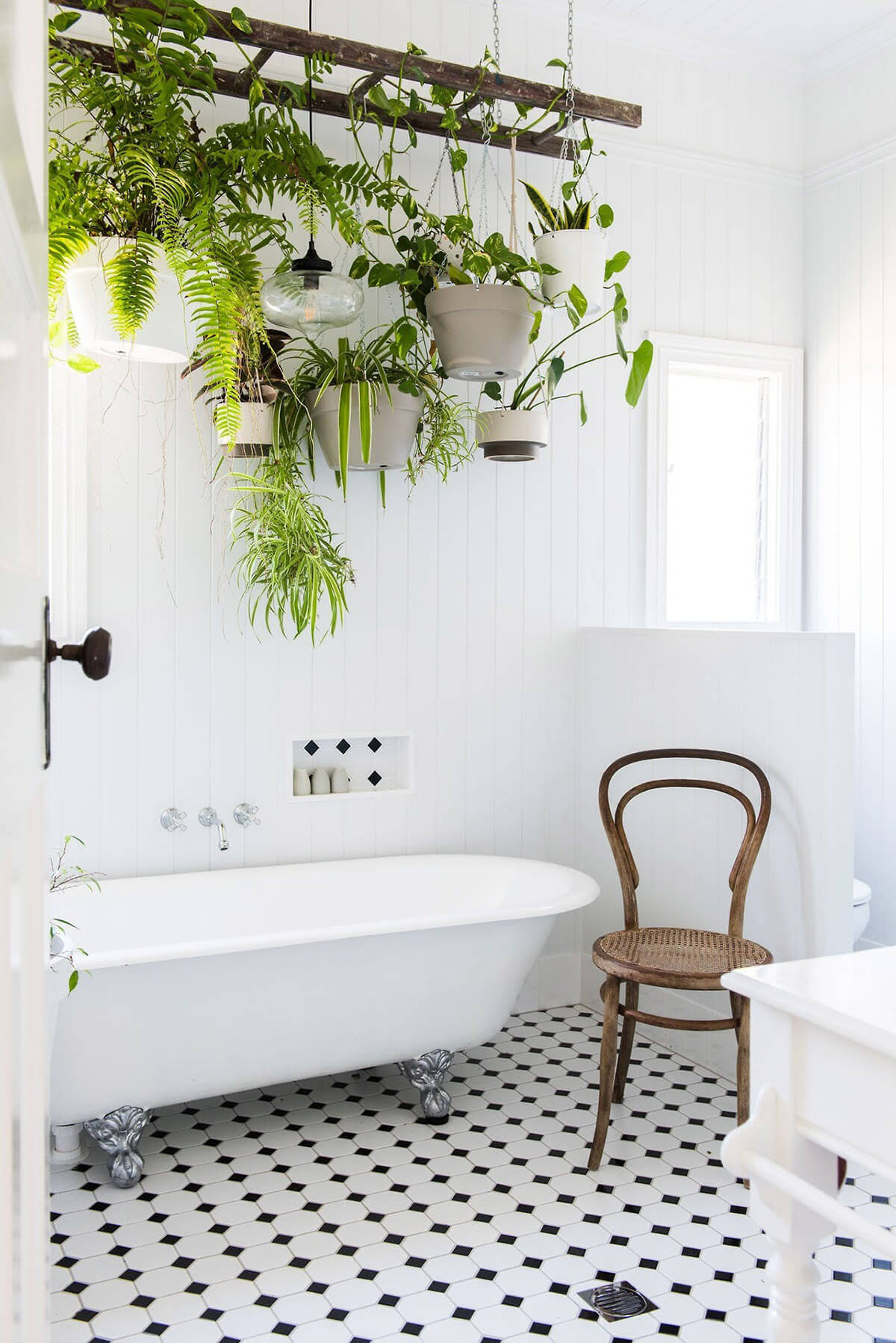 36 Best Farmhouse Plant Decor Ideas and Designs for 2021