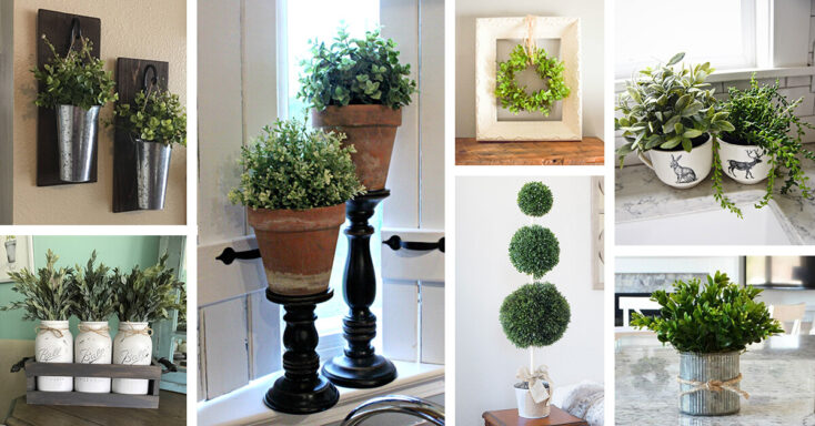Featured image for 36 Lovely Farmhouse Plant Decor Ideas to Add a Touch of Nature to Your Interior
