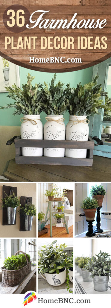 36 Best Farmhouse Plant Decor Ideas and Designs for 2023