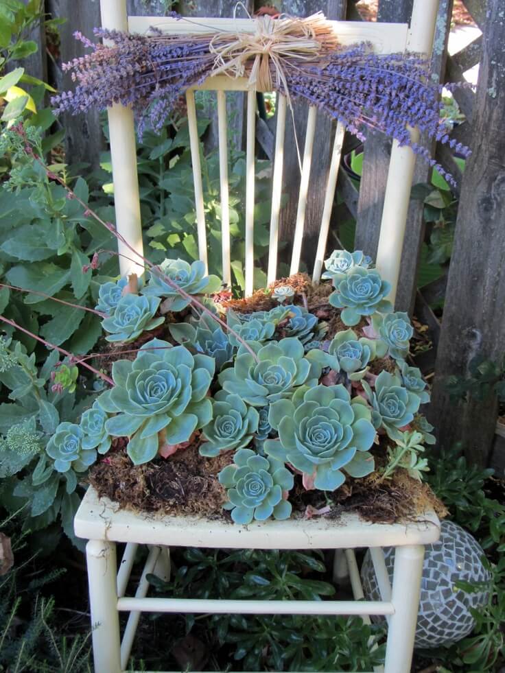 Easy Chair Planter with Succulents and Lavender