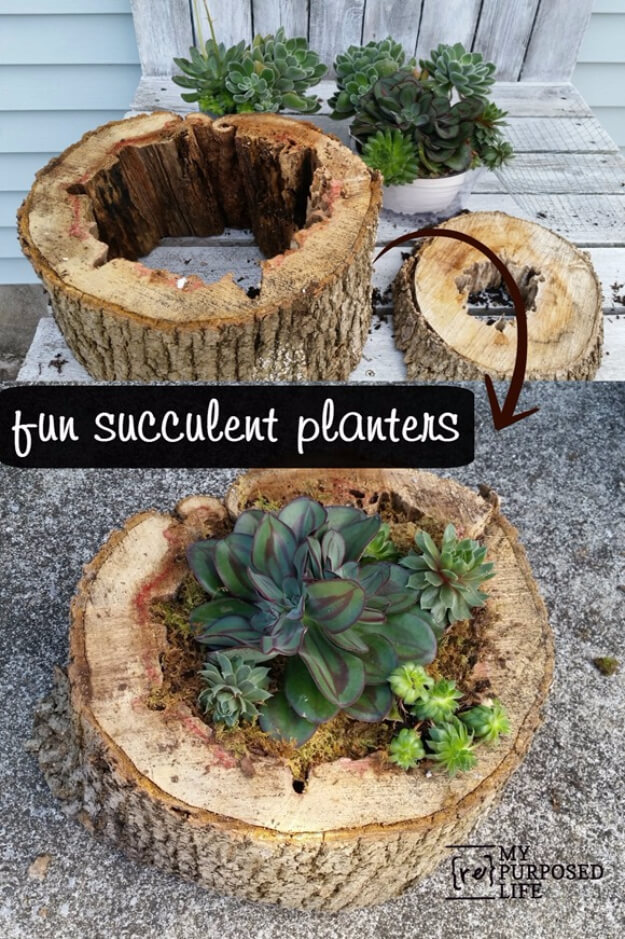 Make a Planter Out of a Log