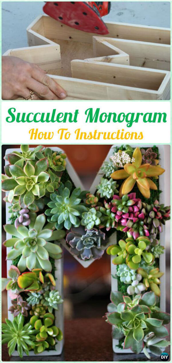 33 Best DIY Indoor and Outdoor Succulent Planter Ideas for ...