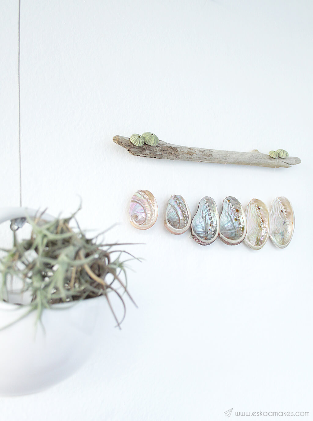 Hanging Shell and Driftwood Wall Art