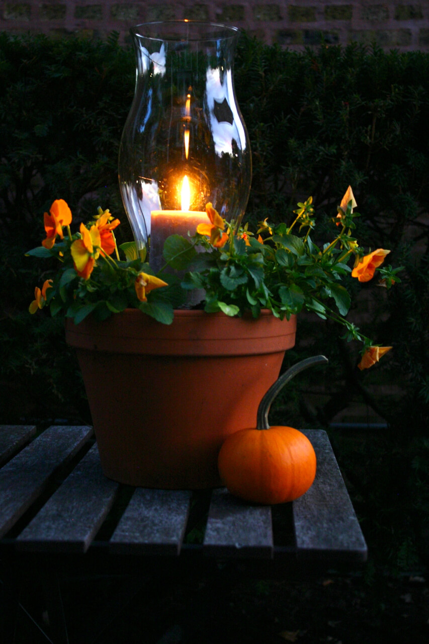 Candle Lantern Planter in a Clay Pot