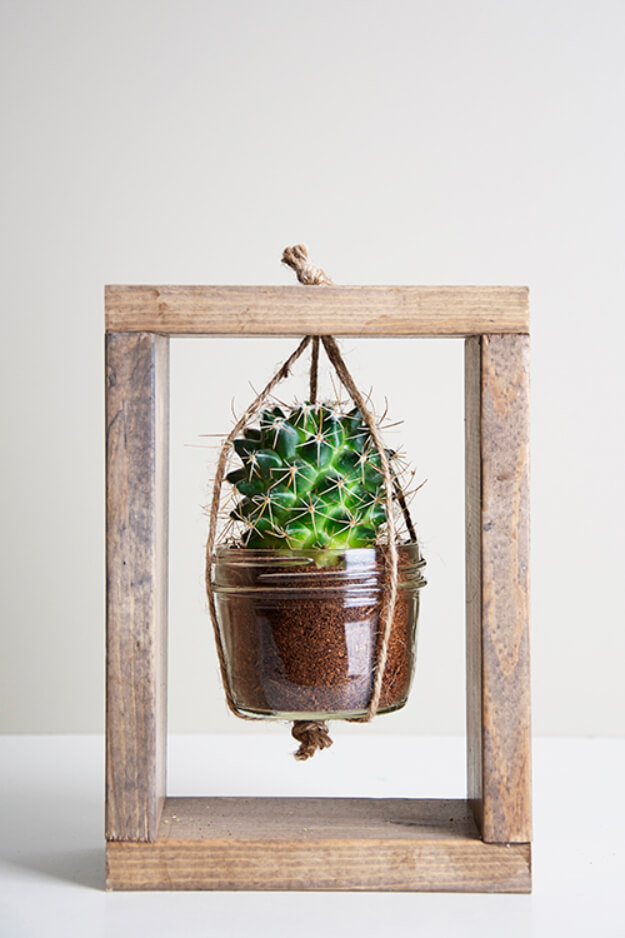 Box Frame with Hanging Cactus