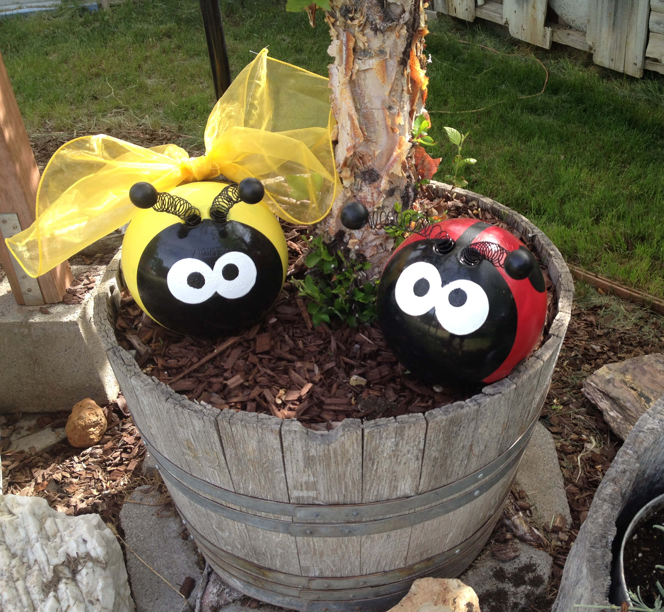 Cute Ladybugs with Spring Antennas