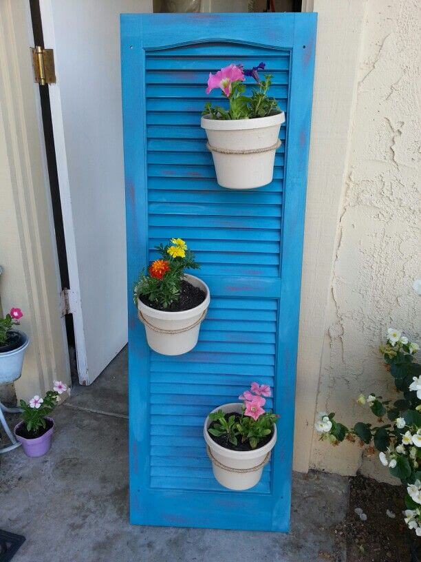 Cheerful Blue Flower Pot Display