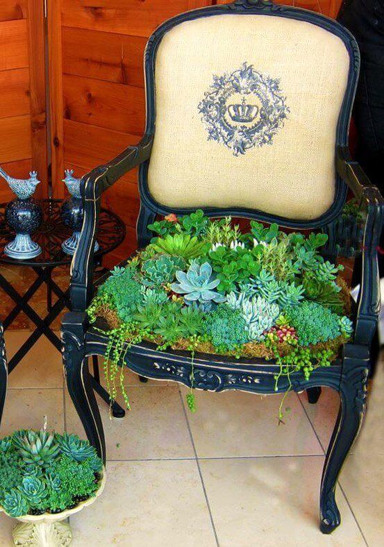 Replace a Chair Seat with Succulents