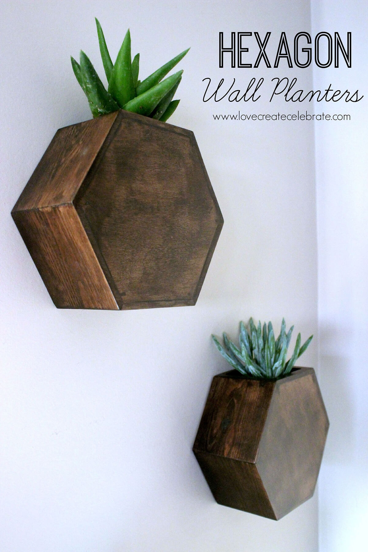 Modern Style Hexagonal Wall Planters