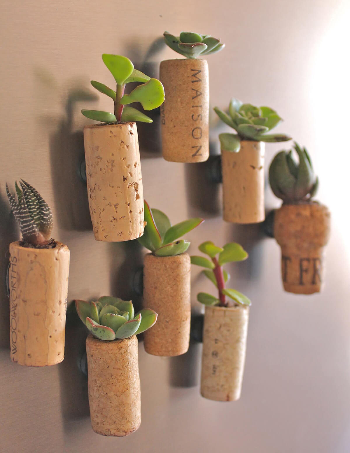 Tiny Planters with Wine Corks