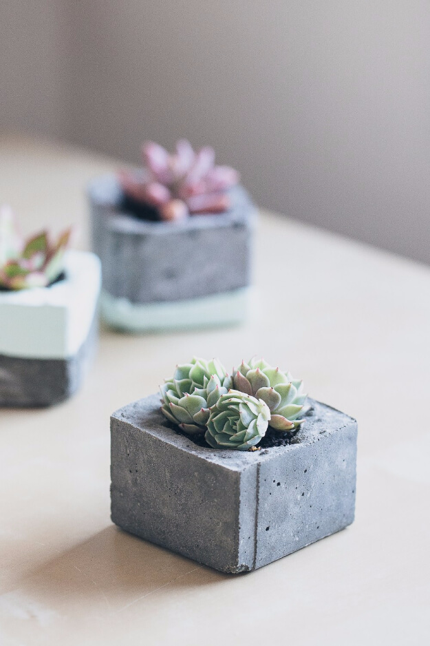 Little Cinder Block Succulent Planters