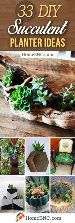 33 Best DIY Indoor and Outdoor Succulent Planter Ideas for 2023