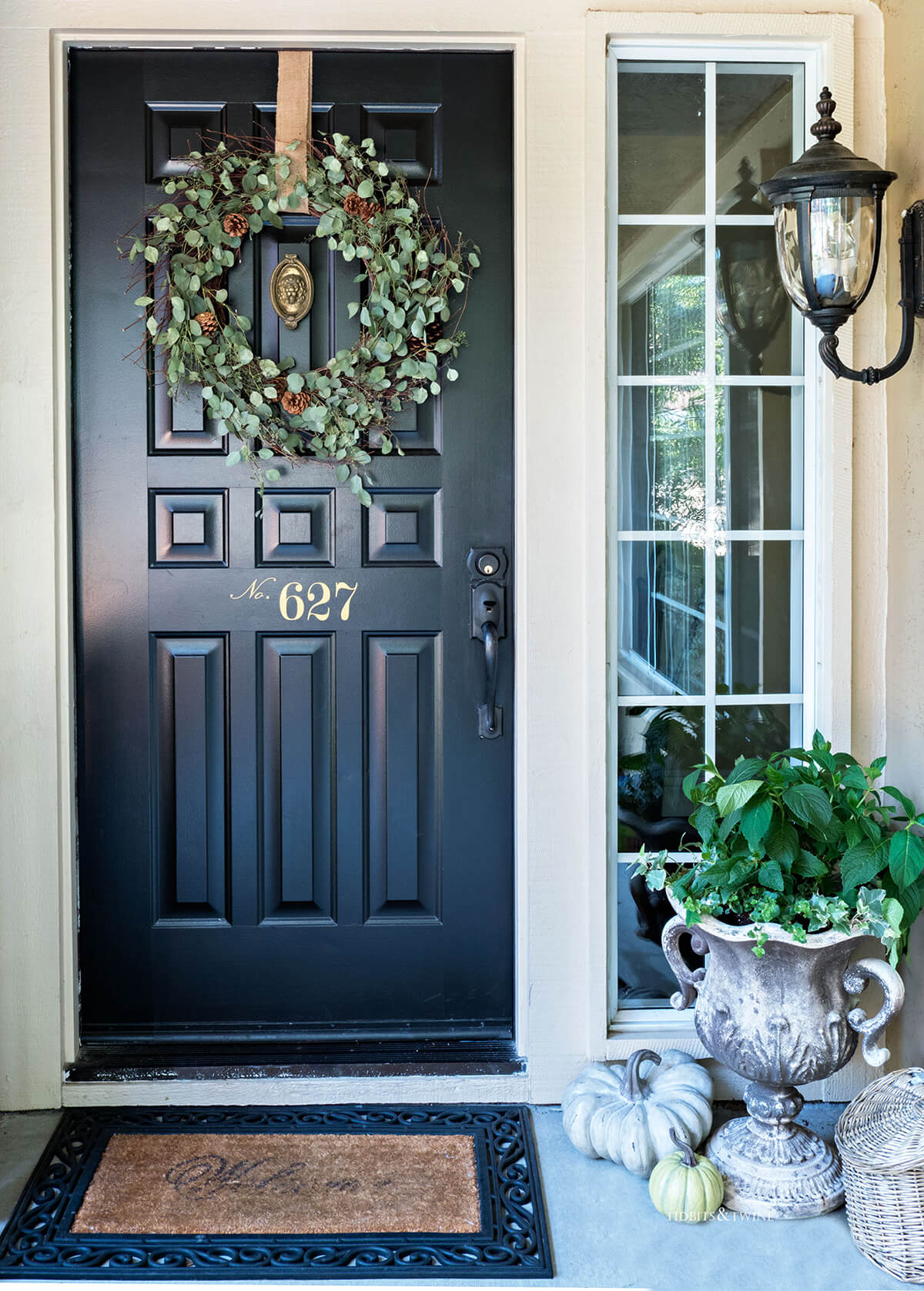 Eucalyptus Leaves Encircle a Grapevine Wreath