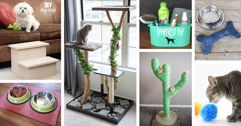 DIY Projects for Pets