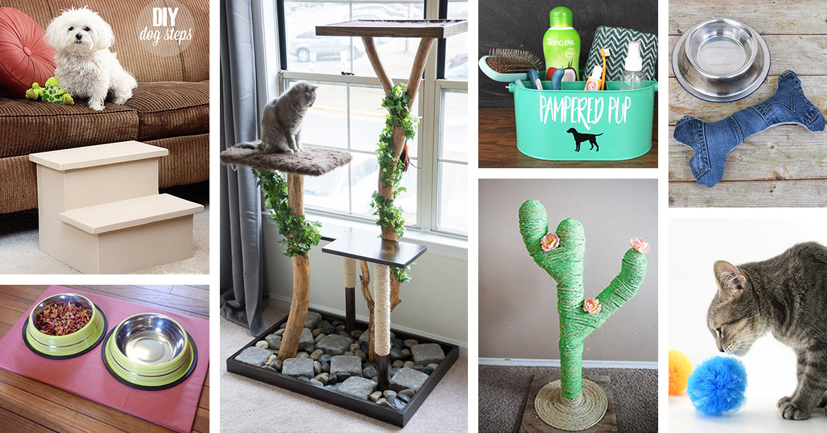 Featured image for “23 Lovely DIY Pet Projects You Can Make on a Budget”