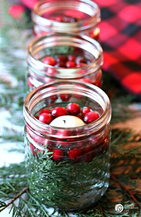 Tis the Season for Holly Luminaries