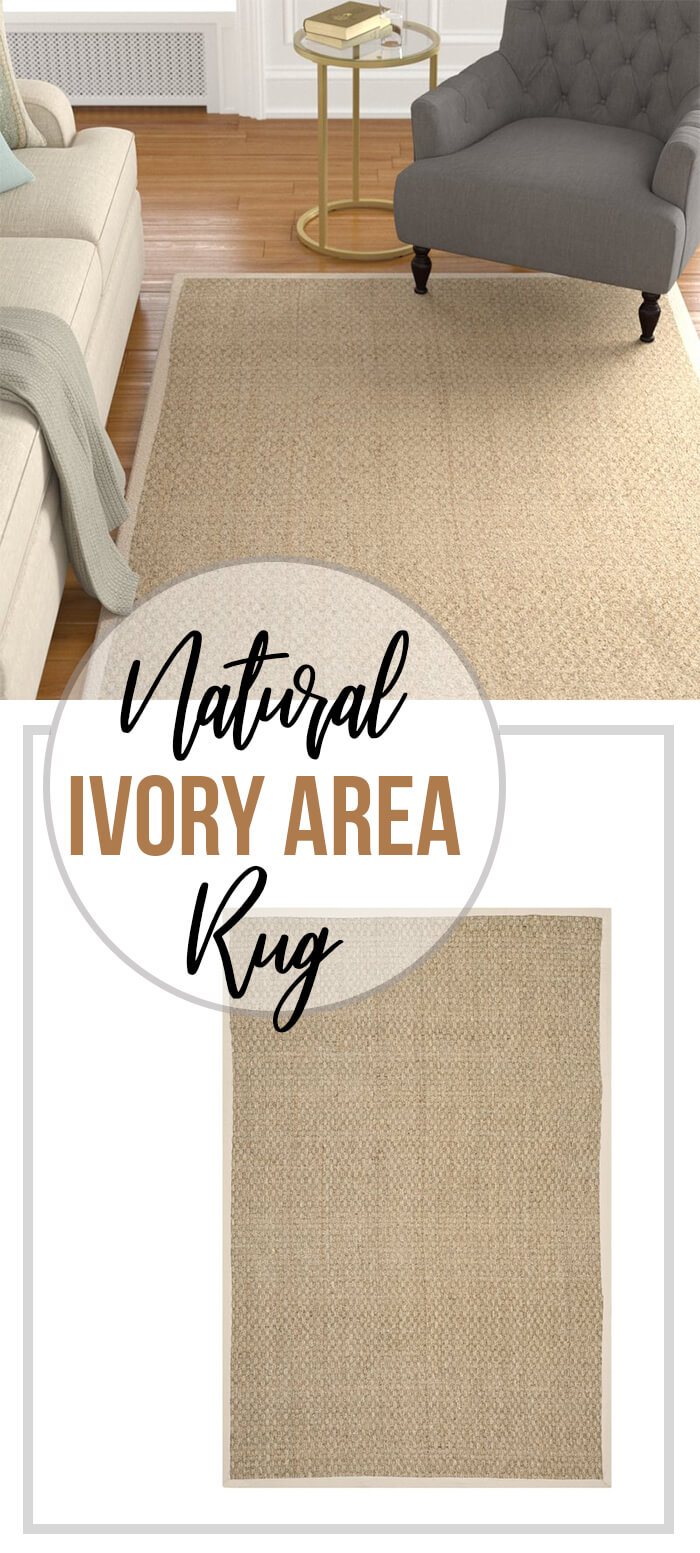 Pleasantly Chic & Versatile Natural Ivory Area Rug