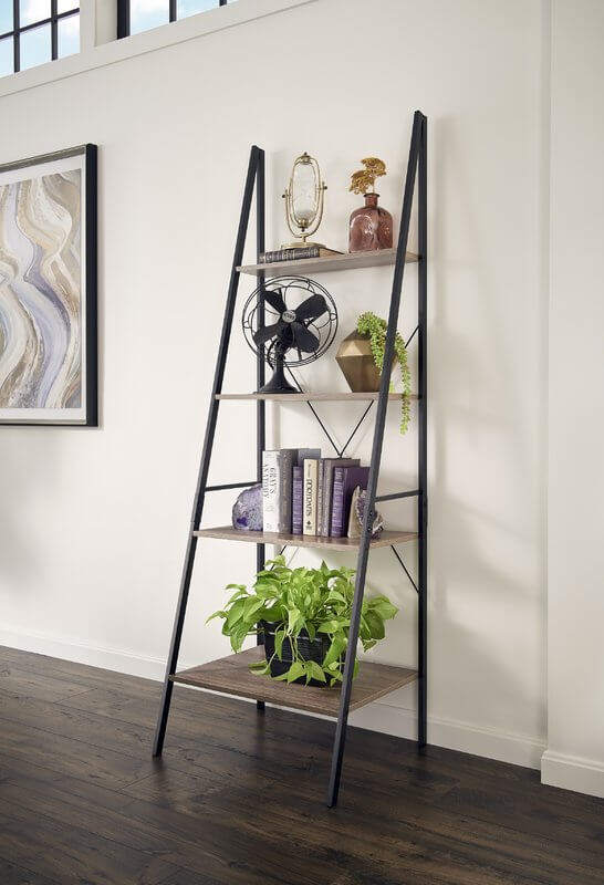 Make Your Library Its own Library Ladder