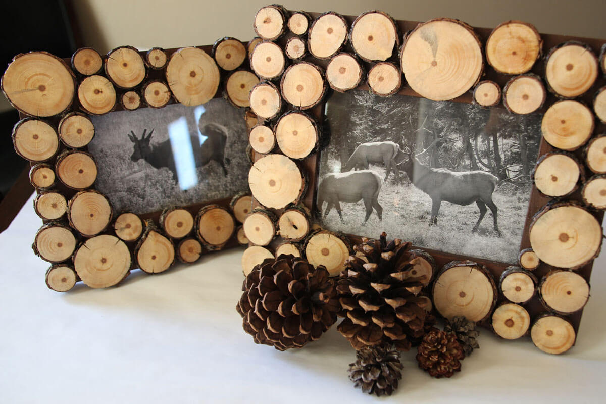 Woodsy Tree Ring Picture Frame