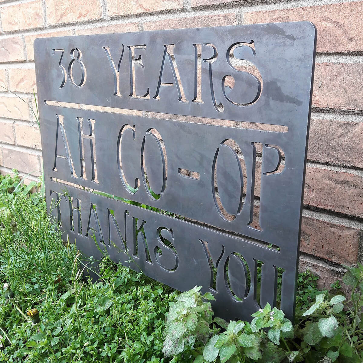 "38 Years Ah Co-Op Thanks You" Garden Sign