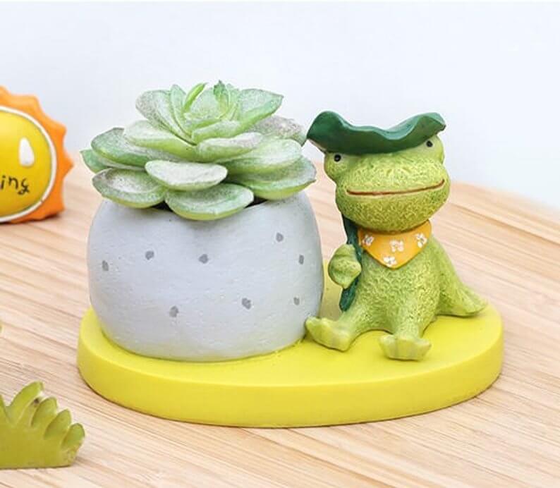A Succulent’s Toad-ally Awesome Friend