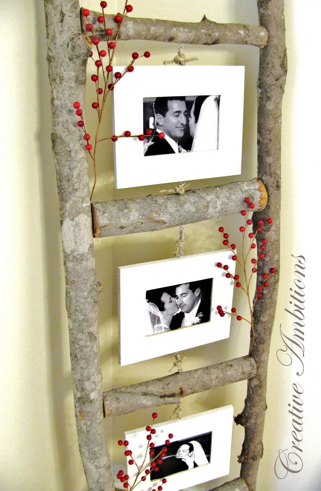 Creative Photo Ladder with Wooden Branches