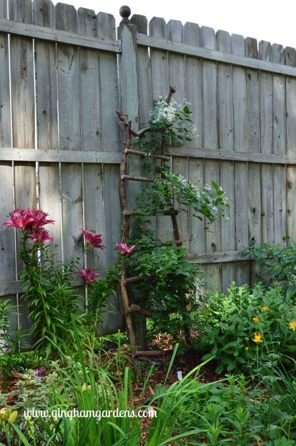 A Beautiful Garden Ladder Using Branches