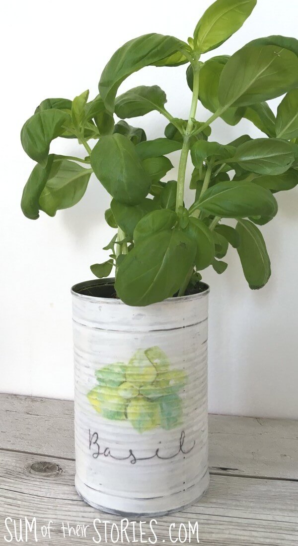 Practical Labeled Painted Herb Planters