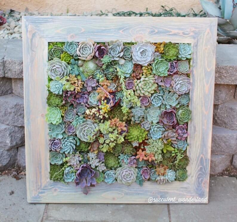 Framed Succulent Wall Planter Garden Art<