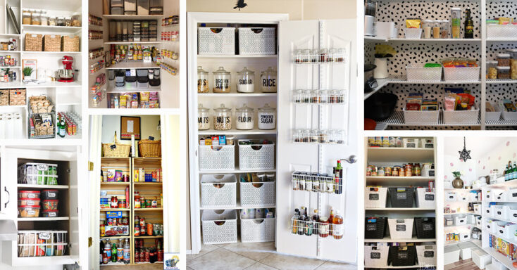 Featured image for 24 On-trend Pantry Shelving Ideas to Organize Your Kitchen