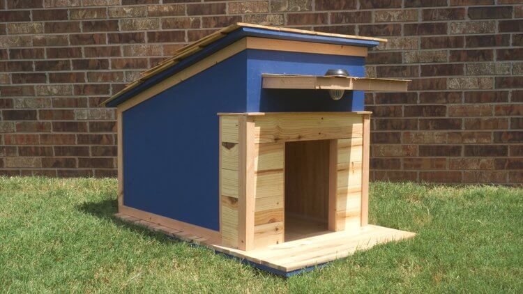 Dark Blue Dog House with a Porch Light