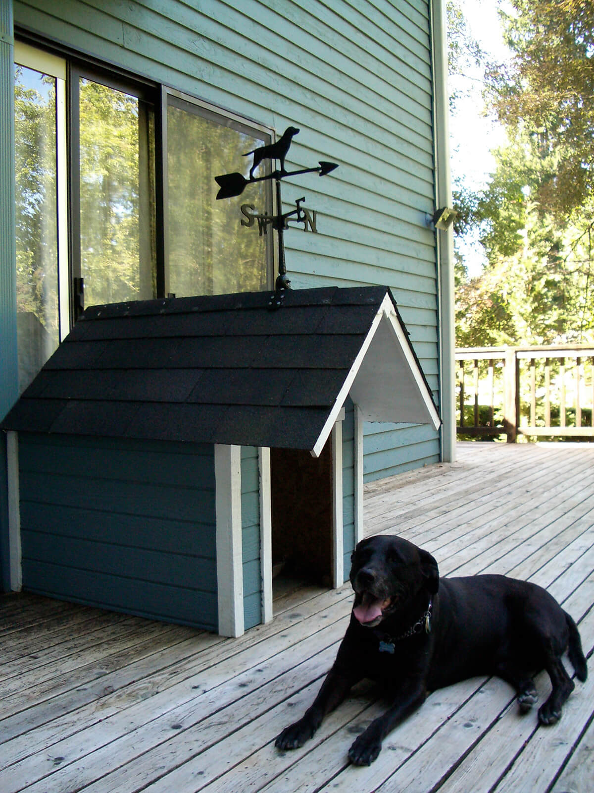 diy outdoor dog house