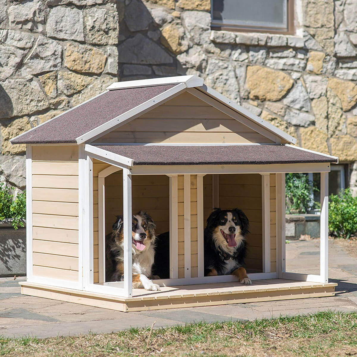 Best Outdoor Pet House At Howard Decker Blog